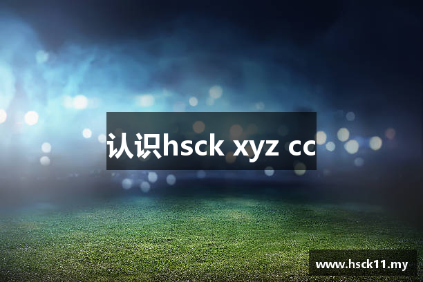 认识hsck xyz cc